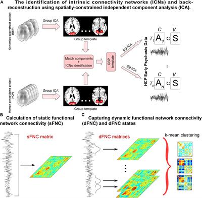 Whole-Brain Functional Network Connectivity Abnormalities in Affective and Non-Affective Early Phase Psychosis